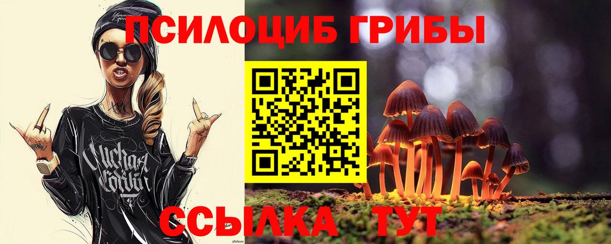 Галлюциногенные грибы мицелий  Вход с VPN  Лесозаводск 