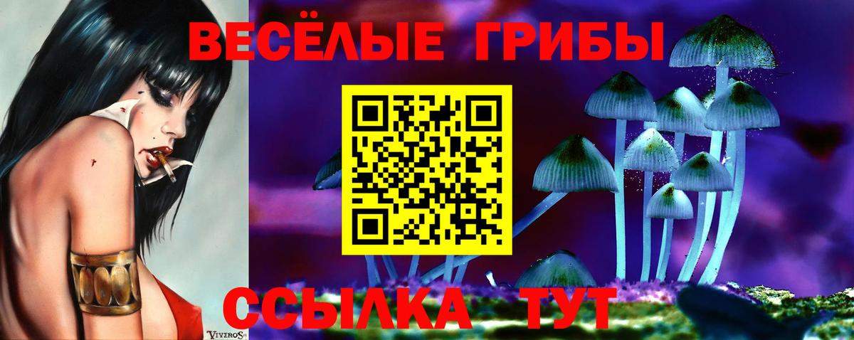 Псилоцибиновые грибы ЛСД Лесозаводск